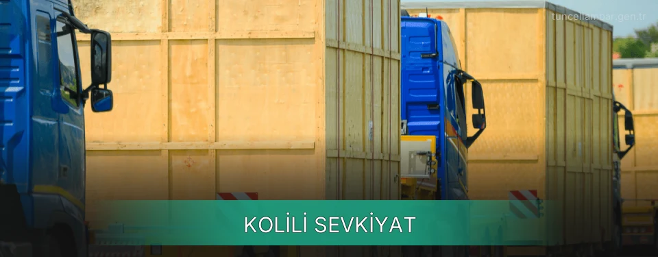 Tunceli Kolili Sevkiyat Ambar Firmaları Tunceli Kolili Sevkiyat Ambar Firmaları