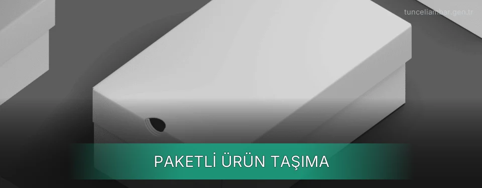 Paketli Ürün Taşıma Paketli Ürün Taşıma