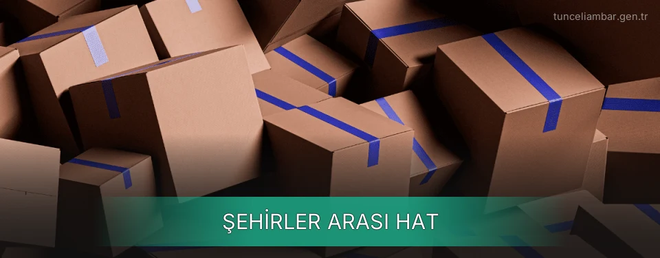 Tunceli Şehirler Arası Sevkiyat Destek Tunceli Şehirler Arası Sevkiyat Destek